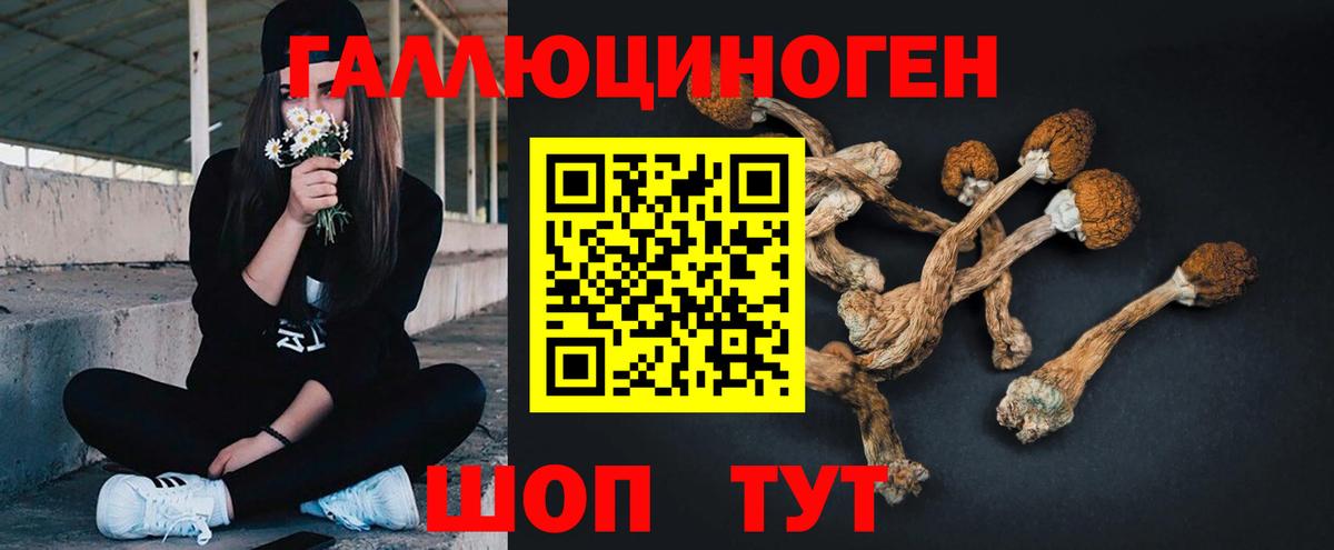 где продают наркотики  Галлюциногенные грибы мухоморы  Вход с VPN  Сыктывкар 