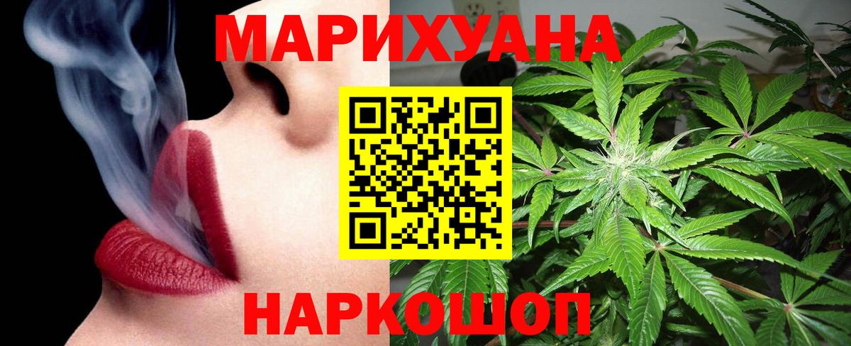 Конопля план Сыктывкар